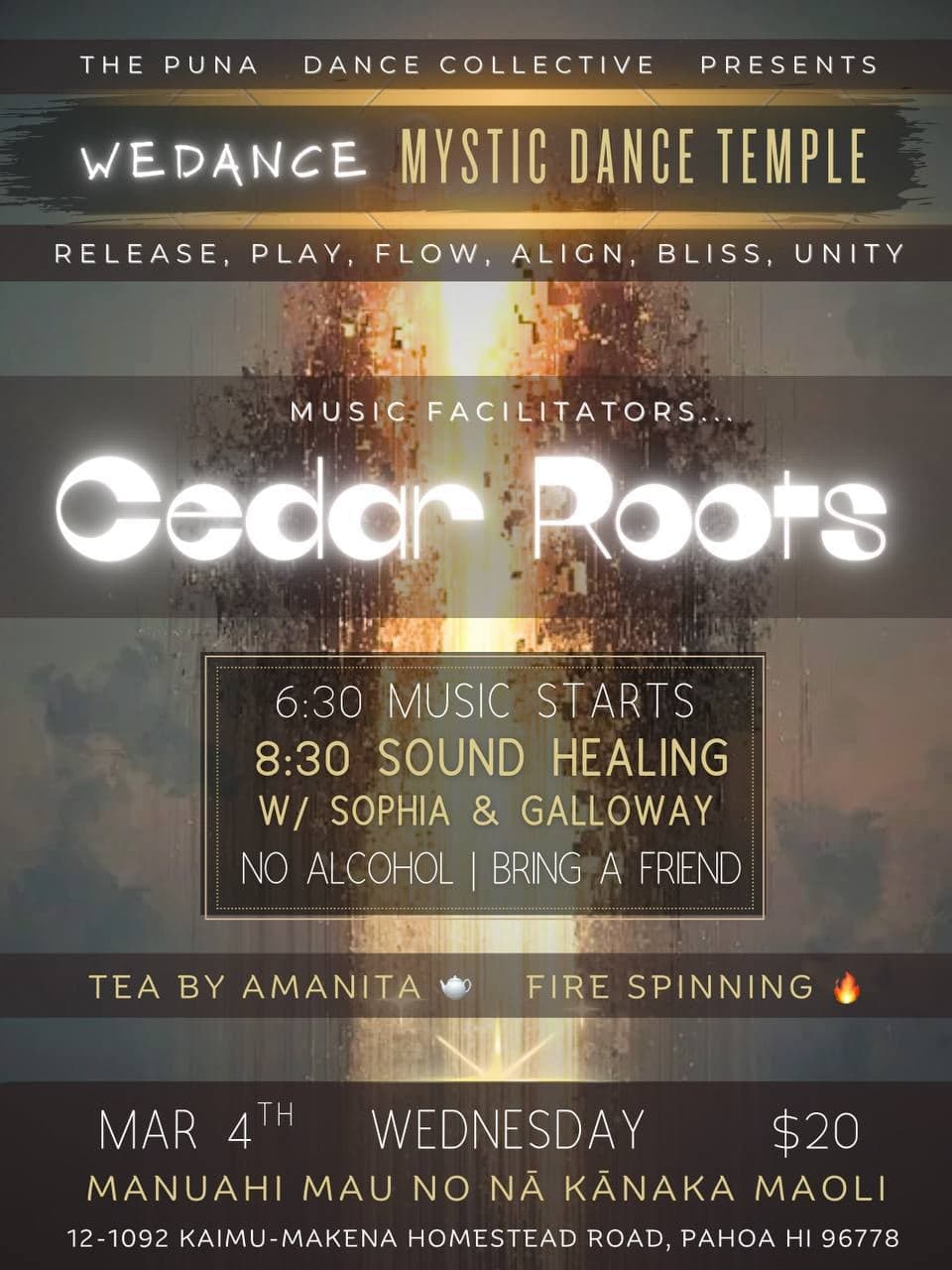 WeDance welcomes Cedar Roots (Ecstatic Dance & Sound Healing)