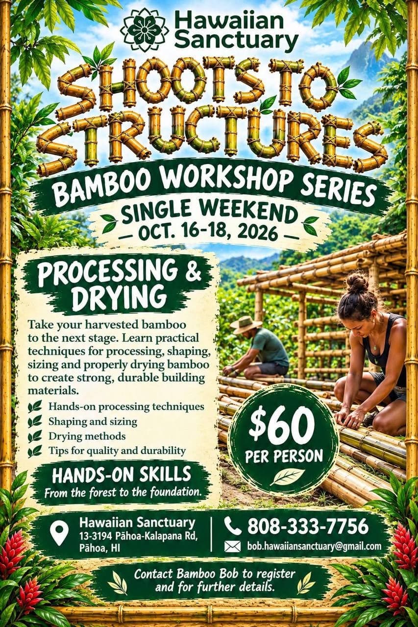 Shoots to Structures: Bamboo Building Workshop — Part 2 (Processing & Drying)