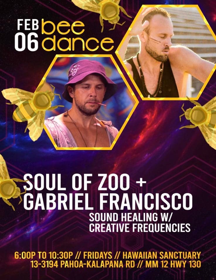 Bee Dance at Hawaiian Sanctuary