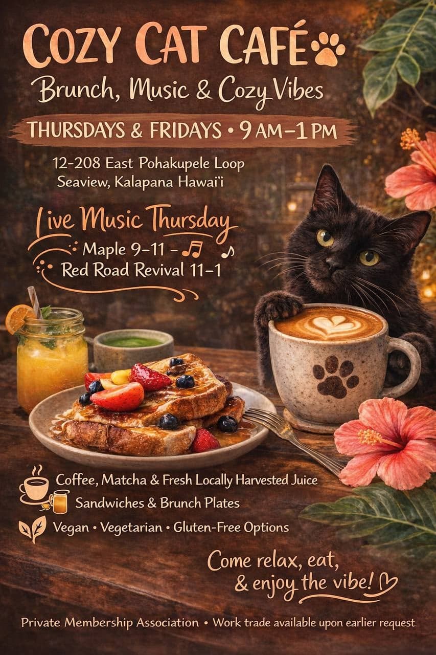 Cozy Cat Café Brunch & Live Music (Thursdays)